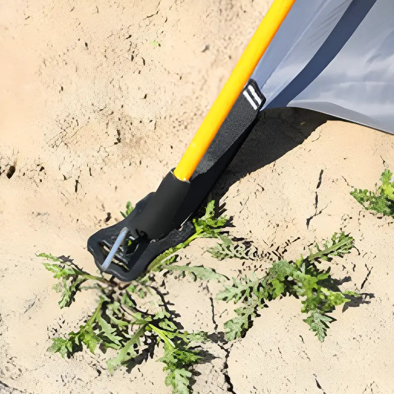 Tente 3 places été