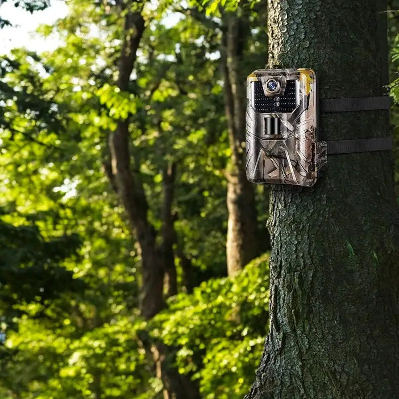 Caméra de chasse de surveillance